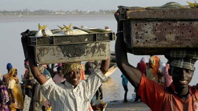 Dans le bassin du fleuve Sénégal, poissons et habitants sont de retour